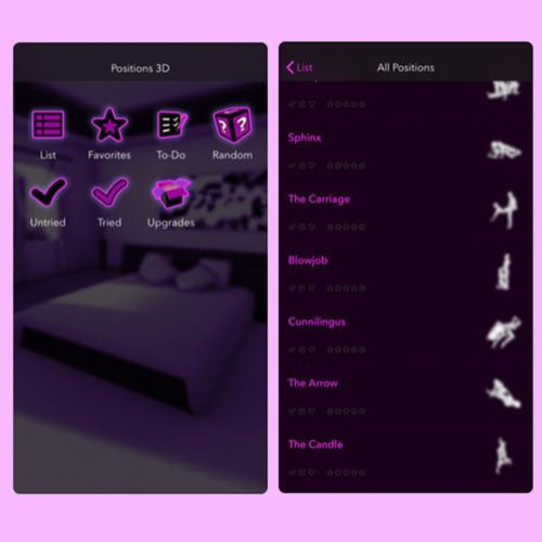 Sex Positions 3D