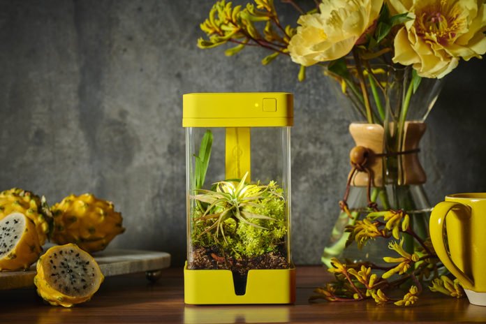 Introducing OrchidBox - The World's First Mini Smart Terrarium Introducing OrchidBox - The World's First Mini Smart Terrarium