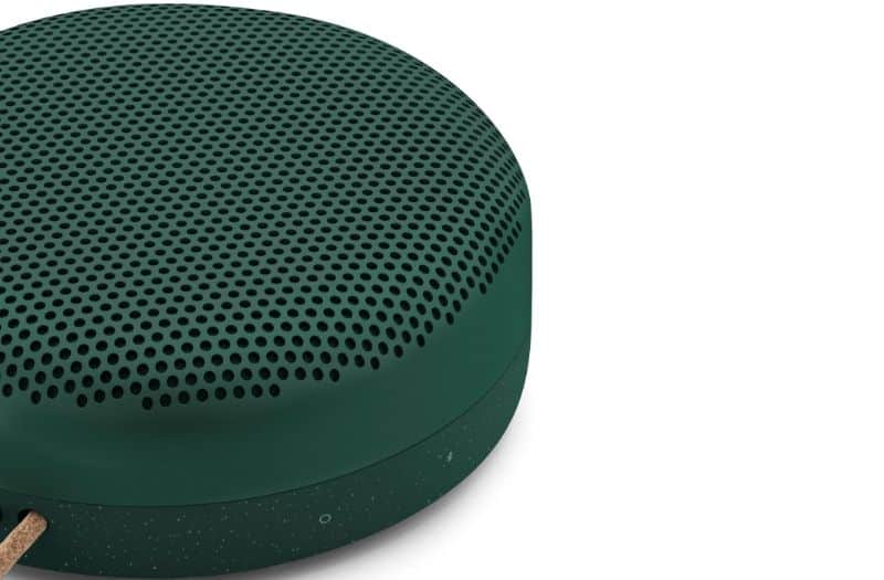 Beoplay A1 Pine