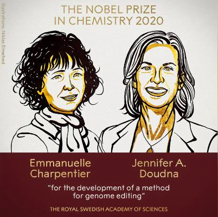Emmanuelle Charpentier and Jennifer A. Doudna “for the development of a method for genome editing.”