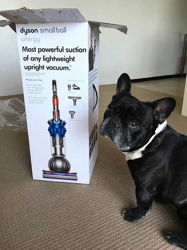 Pros & Cons: Dyson Small Ball Vacuum Cleaner