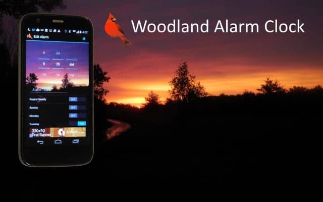 Wake up refreshed with the Woodland Alarm Clock Review