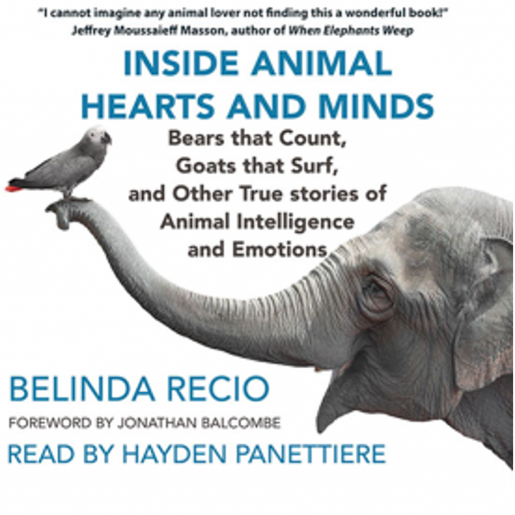 Inside Animal Hearts and Minds