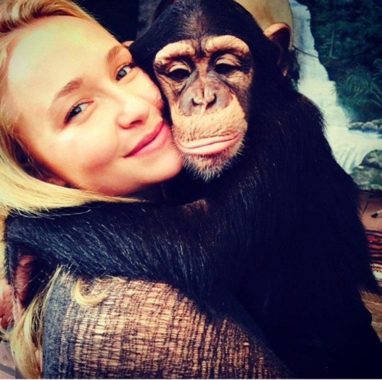 Hayden Panettiere Narrates New Audio Book About The Magic Of Animals