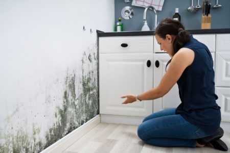 Mould in Home
