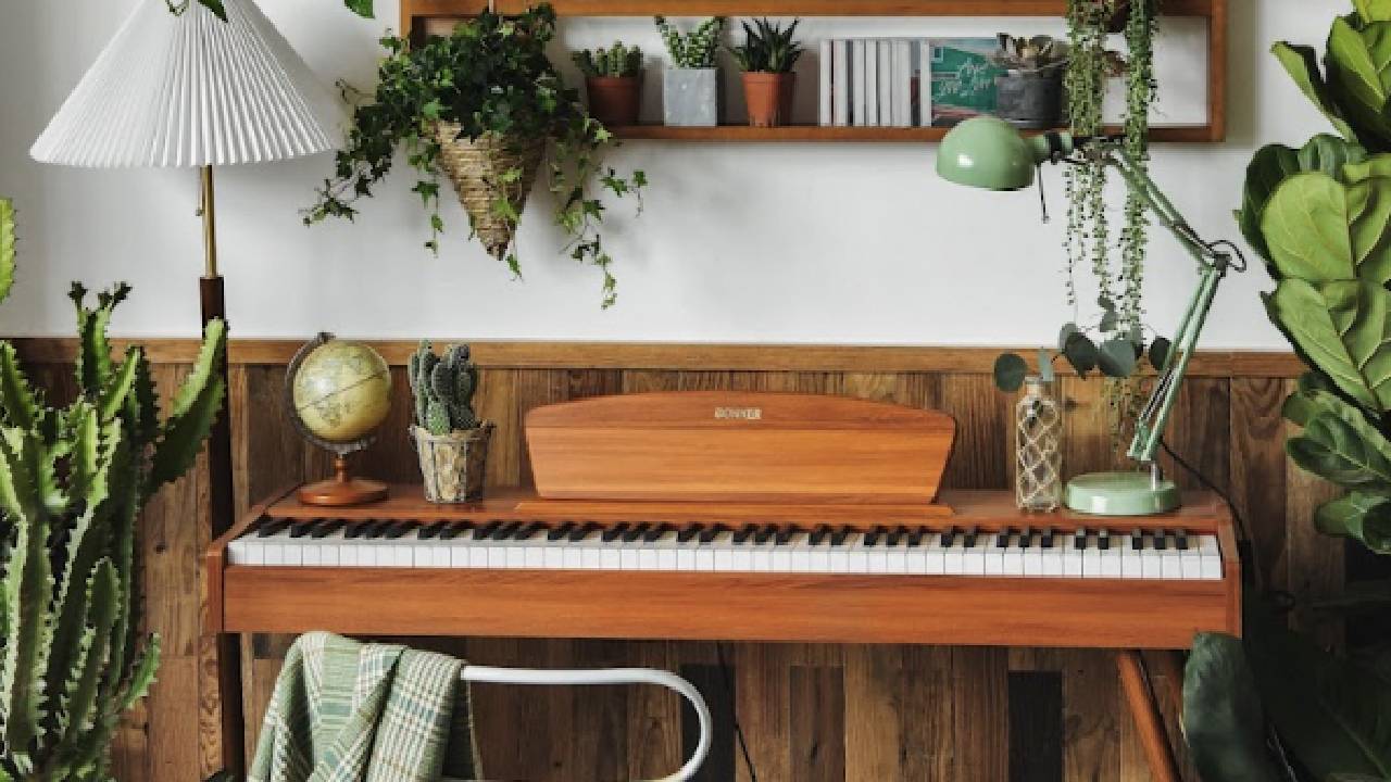 piano and plants