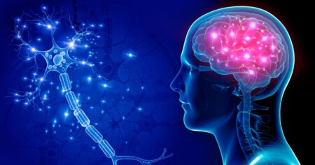 brain health neuroscience
