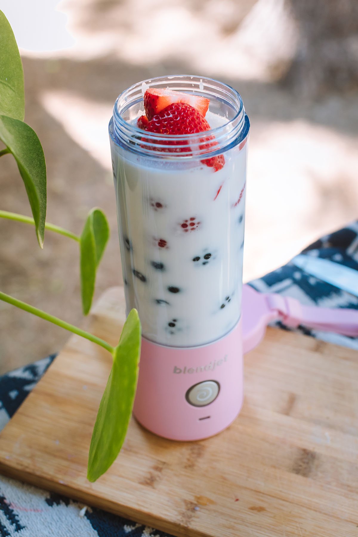 BlendJet Features and Lisa Frank Collaboration