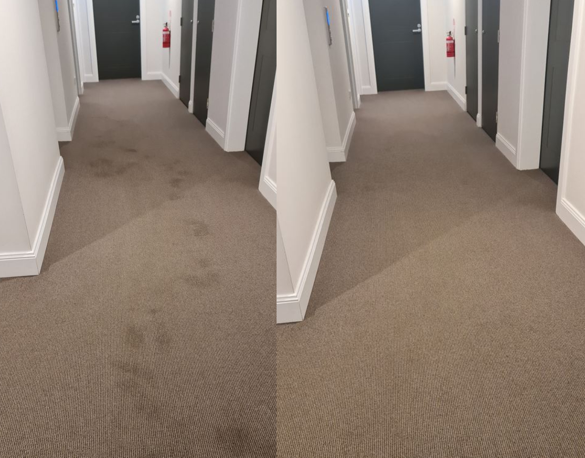 iCARPET Before and After Carpet Cleaner
