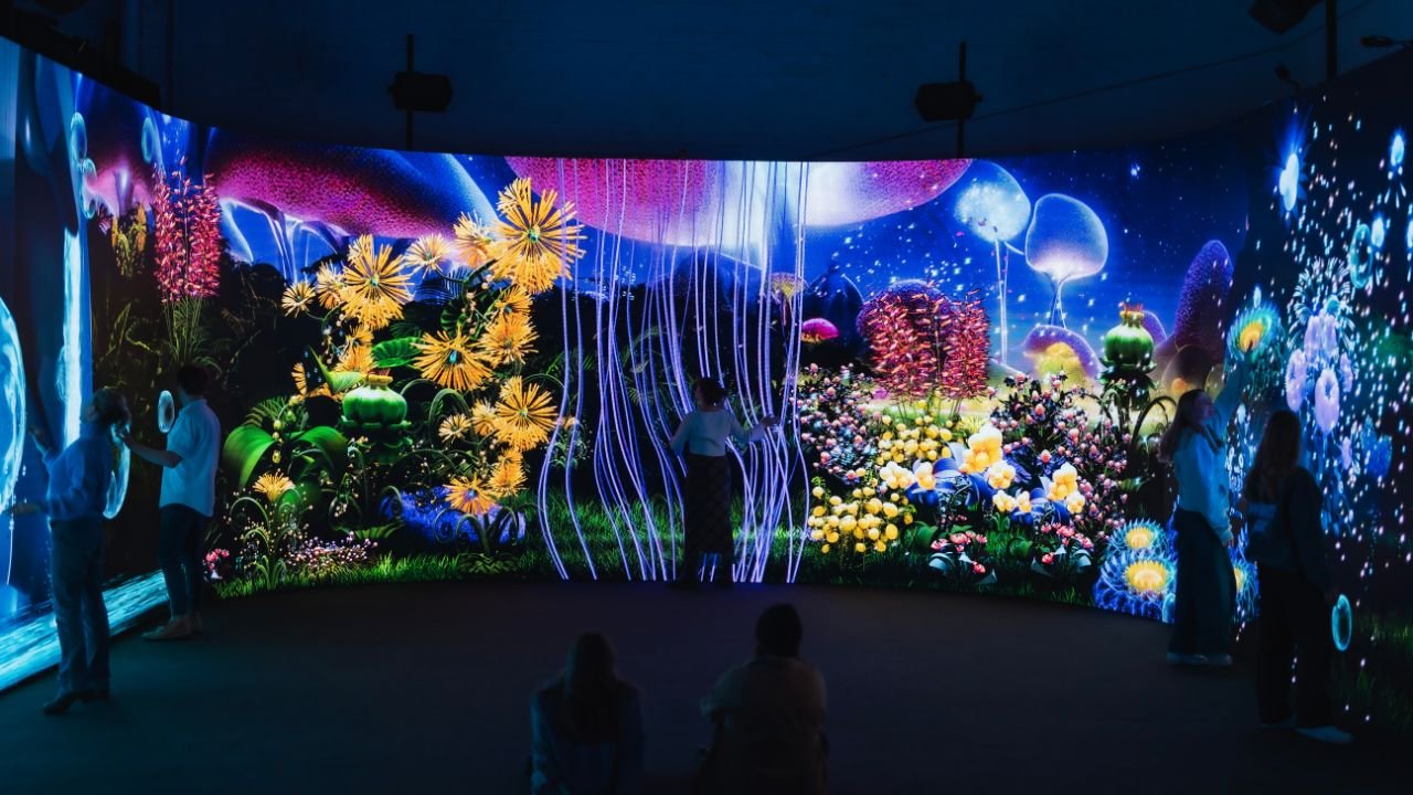 Best events at illuminate Adelaide Eden