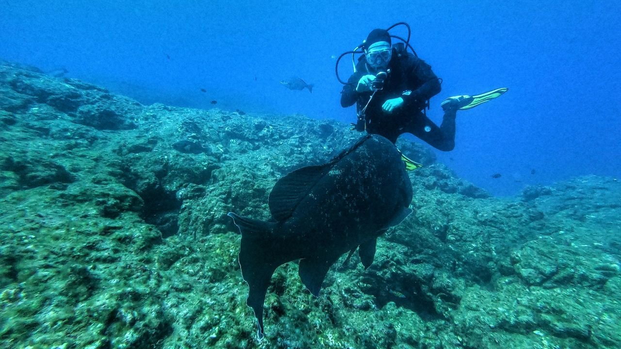 Azores Portugal