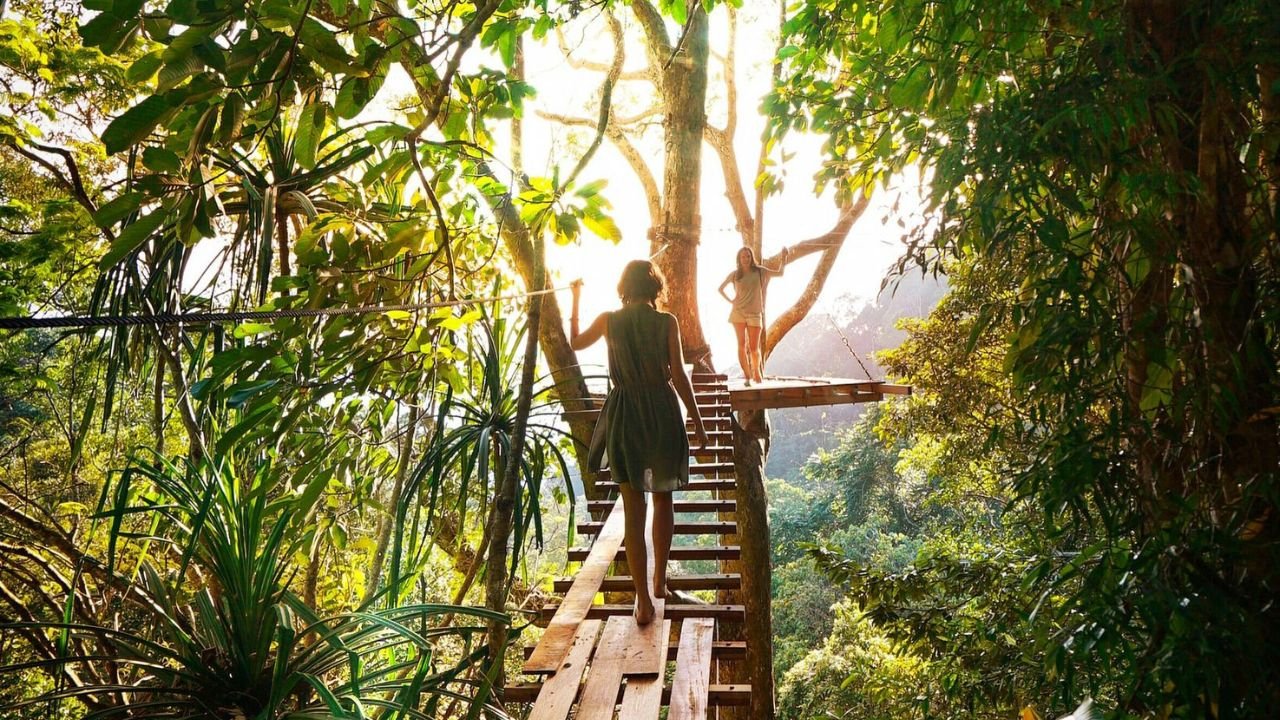 Trees + Science + Innovation = Safeguarding Our Planet