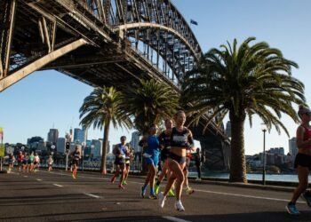 A Slam Dunk Kind of Stay: How AirBnb is Smashing the Score in Sports Tourism