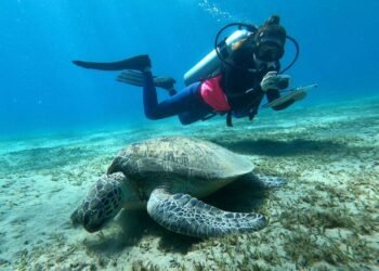 A Deep Dive With the Marine Scientist Restoring Coral Reefs in Cambodia