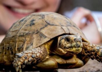 Six Bright Ideas Hatching a Better Future for Our Planet