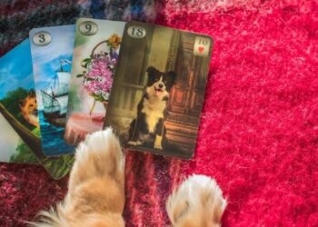 Canine Cards and Feline Fortunes: How to do a TikTok Tarot Reading for Your Tail Wagging Best Friend