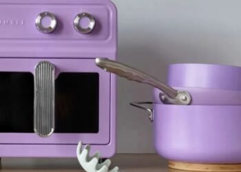Don’t Be Fooled … This Purple Air Fryer is Smarter Than it Looks