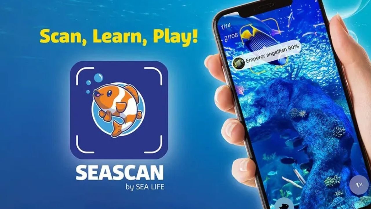 Sea Scan App  Sydney Aquarium 