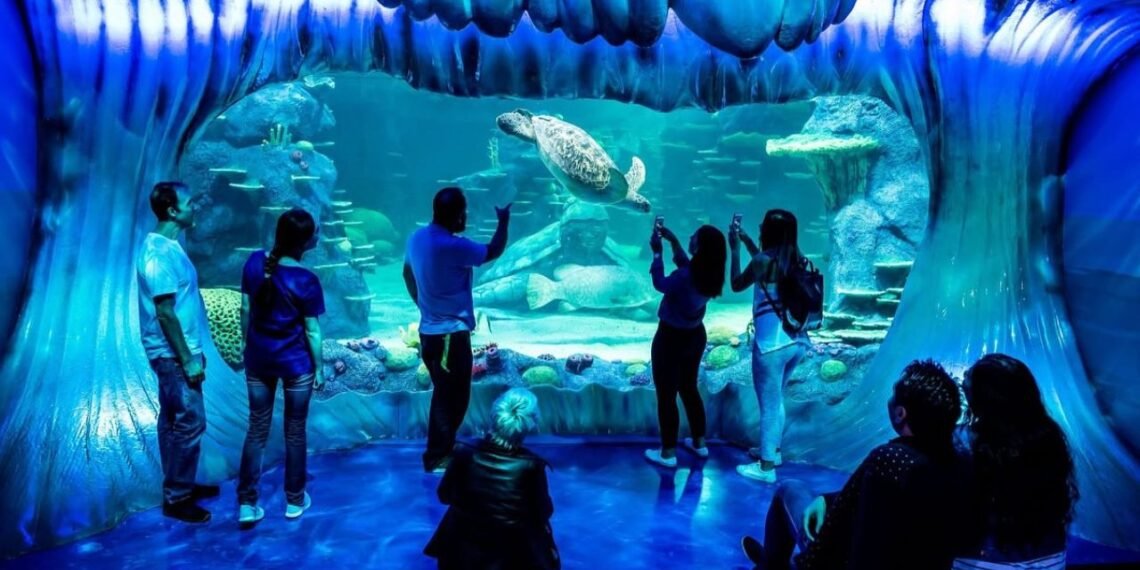 Sea Scan App Sydney Aquarium