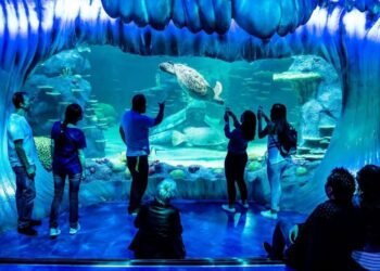 This App is O-Fish-ially Adding a Splash of Tech to School Holiday Fun