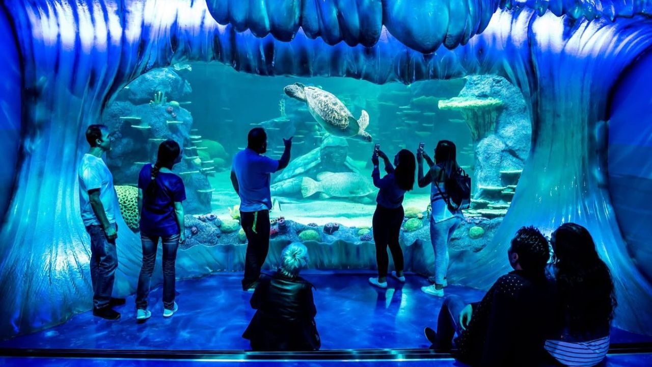 This App is O-Fish-ially Adding a Splash of Tech to School Holiday Fun