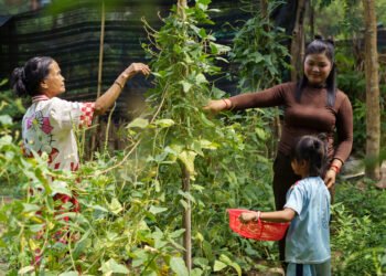 Plan International: 12 Million Girls Forced Into Marriage Each Year Plan International: 12 Million Girls Forced Into Marriage Each Year