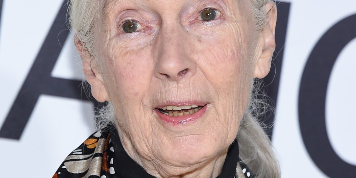 Dame Jane Goodall