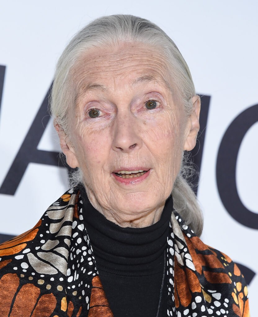 Dame Jane Goodall