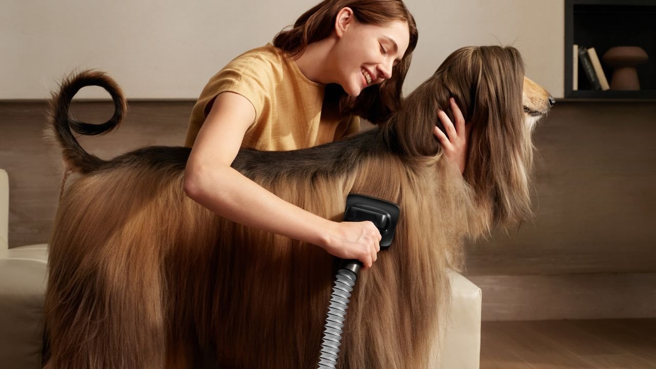 I’m Dreame…ing of a (Spotless) White Christmas