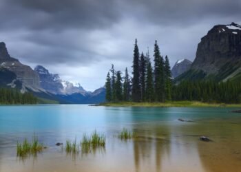 Why Portable Storage Gives You Peace of Mind Why Portable Storage Gives You Peace of Mind