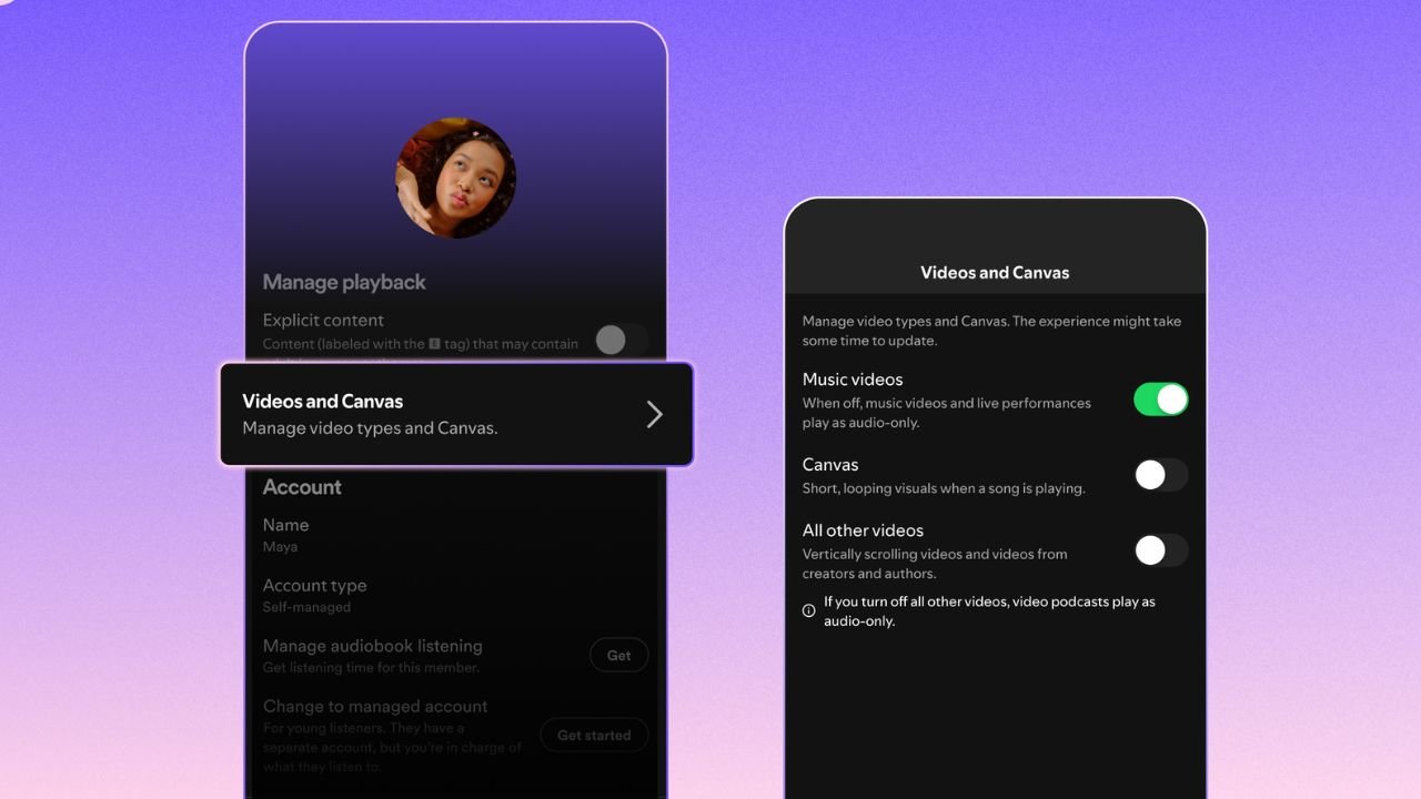 Spotify video controls