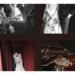 Pinterest Wedding trends