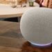 google home speaker
