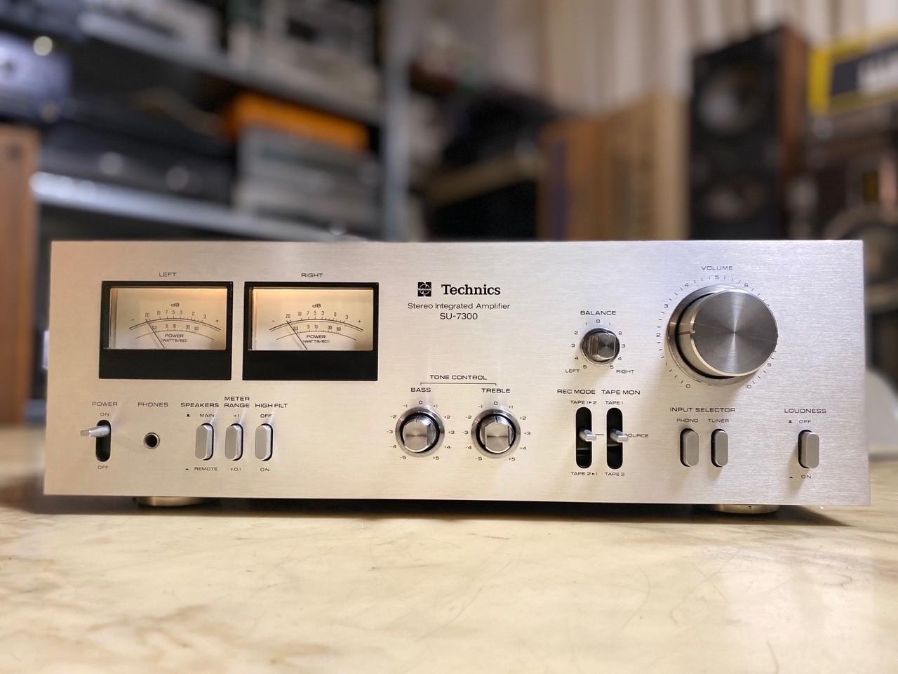 Technics AMP